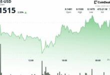 عملة دوجكوين تستعيد هيكلها الصعودي مع وصول نشاط الحيتان إلى أدنى مستوى في شهرين