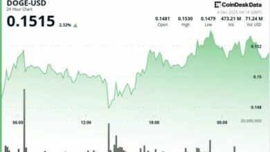 عملة دوجكوين تستعيد هيكلها الصعودي مع وصول نشاط الحيتان إلى أدنى مستوى في شهرين