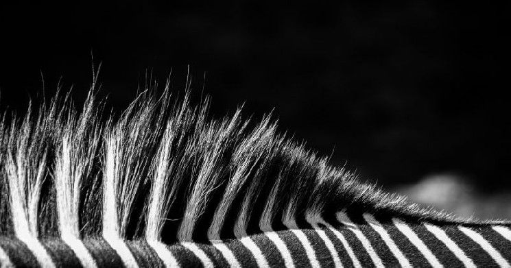 مالك يوفنتوس يرفض عرض استحواذ من شركة تيثر (Tether)