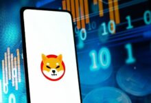 حركة 23.56 تريليون عملة شيبا إينو: الأرجح خطأ في البيانات