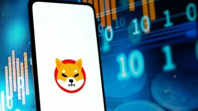 حركة 23.56 تريليون عملة شيبا إينو: الأرجح خطأ في البيانات