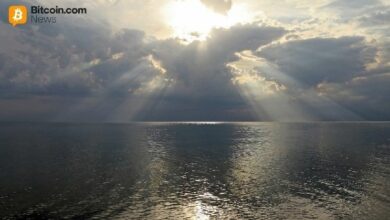 ريبل تسجل زخماً هائلاً بدعم من التدفقات النقدية من أفريقيا وتركيا