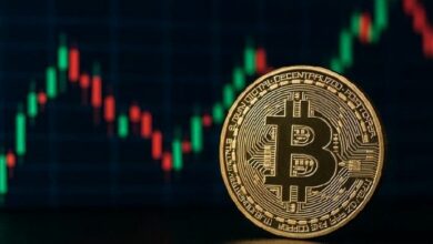 حجم تداول صناديق البيتكوين ETF يبلغ 5.6 مليار دولار اليوم
