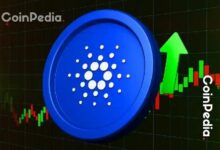 إلى أي مدى سيرتفع سعر كاردانو قبل الإطلاق المنتظر منتصف الليل؟
