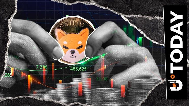 مطور شيبا إنو يعلق على مغادرة أحد أفراد فريق SHIB: التفاصيل الكاملة