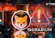 مُخترق جسر شبكة شيباريوم يرفض عرض المكافأة بعد الاستغلال، ما الخطوة التالية؟