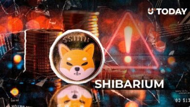 مُخترق جسر شبكة شيباريوم يرفض عرض المكافأة بعد الاستغلال، ما الخطوة التالية؟