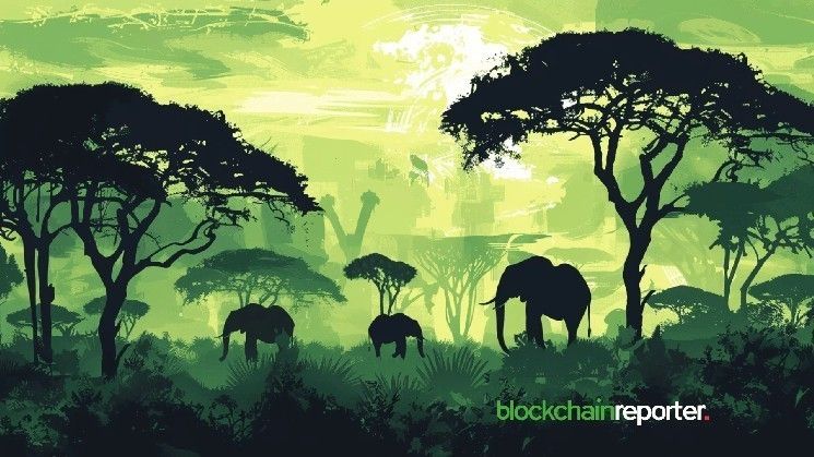 لونو وبنك ديسكفري يدمجان التداول بالعملات الرقمية في الخدمات المصرفية التقليدية بجنوب أفريقيا