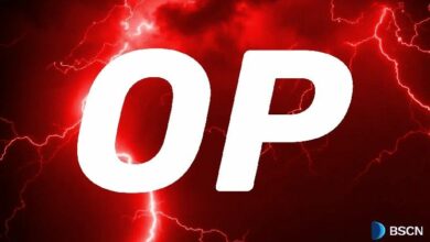 غوص عميق في أوبتيميزم: شبكة البنية التحتية للطبقة الثانية لإيثريوم