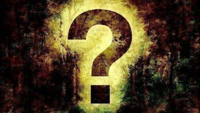 كشف النقاب عن العملات البديلة في نظام إيثيريوم التي يركز عليها مطورو العملات الرقمية أكثر من غيرها – ETH ليست في المرتبة الأولى