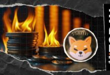معدل حرق عملة Shiba Inu يهوي 62% أخرى إلى مستويات قياسية منخفضة... ما الخطوة التالية؟