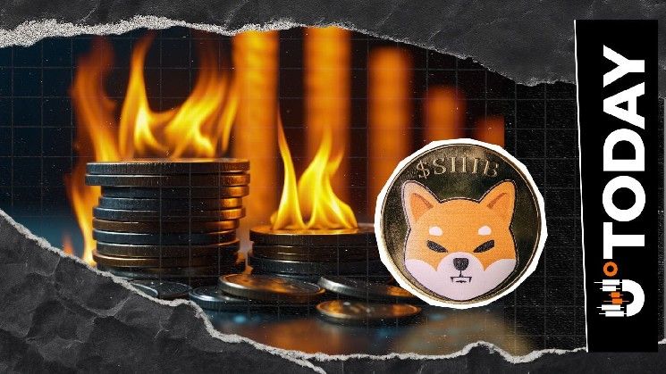 معدل حرق عملة Shiba Inu يهوي 62% أخرى إلى مستويات قياسية منخفضة... ما الخطوة التالية؟