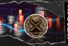 XRP يتراجع في جميع الأطر الزمنية