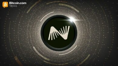 نيكسو تشتري بوينبيت وتجعل الأرجنتين منصة انطلاق لأمريكا اللاتينية