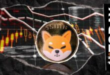 شذوذ شديد في شيبا إينو أم خطأ في السلسلة: 23,561,900,000,000 SHIB تتحرك خلال 24 ساعة