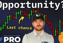 شركات خزينة البيتكوين: استثمارات مقومة بأقل من قيمتها الحقيقية