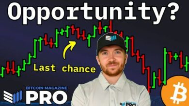 شركات خزينة البيتكوين: استثمارات مقومة بأقل من قيمتها الحقيقية