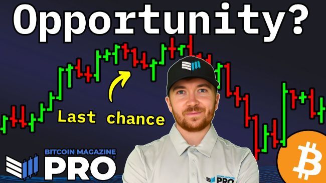 شركات خزينة البيتكوين: استثمارات مقومة بأقل من قيمتها الحقيقية