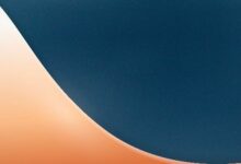 "ستابل" و"تشيبر كاش" تتعاونان لدفع الأموال عبر العملات المستقرة