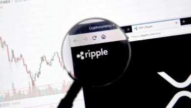 أكبر حاملي عملة XRP حتى ديسمبر 2025