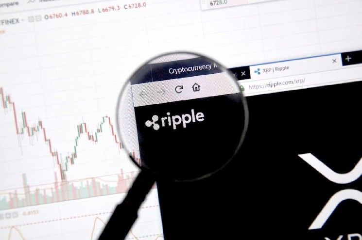 أكبر حاملي عملة XRP حتى ديسمبر 2025