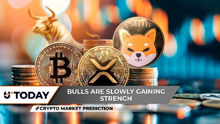 توقعات سوق العملات الرقمية: بيتكوين خارج الصورة و100 ألف دولار في الأفق، هل يعود شيبا إينو (SHIB) بقوة؟ وهل سيهيمن XRP؟