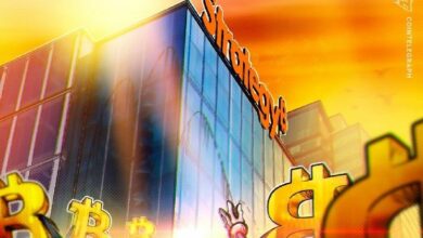 رفض MSCI للبيتكوين يشبه معاقبة شيفرون على النفط: رئيس الاستراتيجية