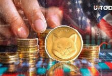 ارتفاع نشاط شيبا إينو بنسبة 2,394% على البورصة الأمريكية: ما السبب وراء هذه الطفرة؟