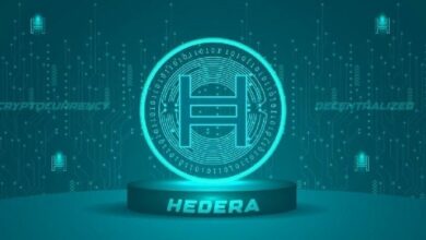 هيديرا تعلن عن ترقية رئيسية في ديسمبر مع التحول من دفتر العناوين الثابت إلى الديناميكي