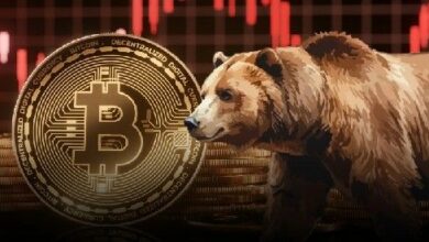 لماذا قد يشهد سعر البيتكوين انهيارًا إضافيًا بنسبة 20%؟