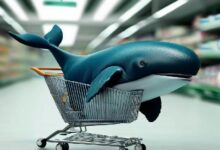 الحوت العملاق العائد بعد 9 سنوات من السكون! يستبدل إيثيريوم بهذه العملة البديلة!