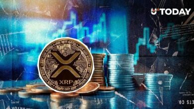 تحركات غامضة بقيمة 108 مليون دولار لـ XRP: ما الذي يخطط له الحيتان؟