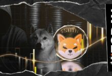 شيباتوشي كوساما من شيبا إينو يكسر صمته في ديسمبر؟ إليكم الاحتمالات