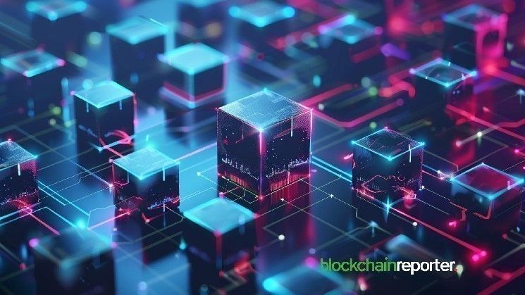 شبكة بلوم تطلق خدمة "العائد من الأصول الواقعية" على سولانا لتسريع وتيرة تبني الأصول الملموسة