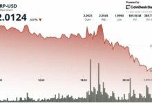 تراجع XRP مع جني المتداولين أرباح البيتكوين وسط تدفقات قوية للصناديق المتداولة (ETF)