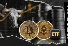 ديسمبر الإيجابي حتى الآن: صناديق البيتكوين والإيثيروم الاستثمارية تشهد ارتفاعاً