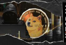 دوجكوين تحتفل بمرور 12 عامًا: مؤسس العملة الرقمية يروي قصة البداية