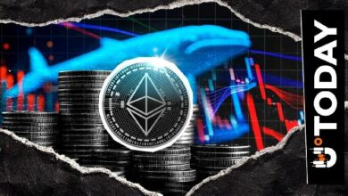 هل اقترب سعر الإيثيريوم من 5000 دولار؟ شراء الحيتان الكبار يتصاعد بقوة