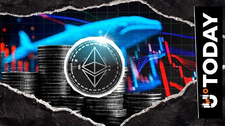 هل اقترب سعر الإيثيريوم من 5000 دولار؟ شراء الحيتان الكبار يتصاعد بقوة