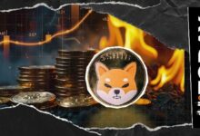 ارتفاع معدل حرق شيبا إينو بنسبة 169% يتبين أنه فاشل: التفاصيل الكاملة