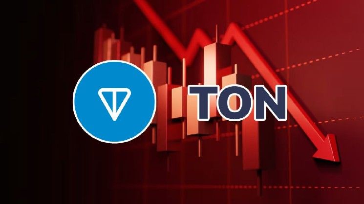 تون يهوي بقوة تفوق باقي سوق العملات الرقمية