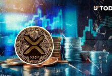 مُقتنو XRP: هذه التواريخ يجب أن تكون في جدول أعمالكم