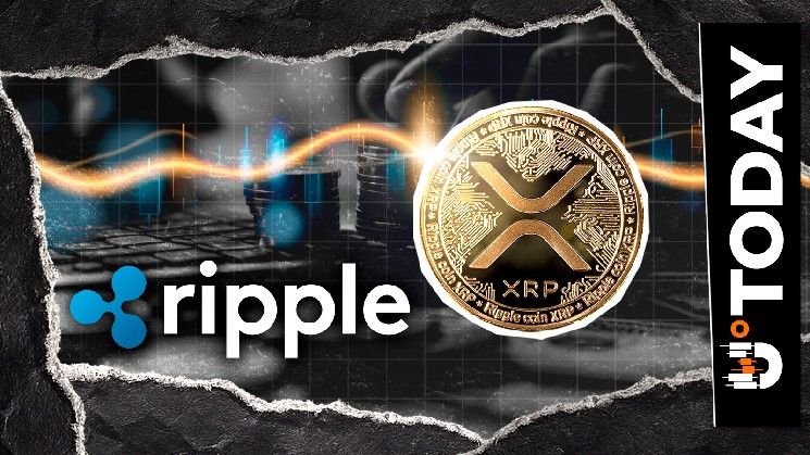 شركة ناشئة مدعومة من مؤسس ريبل تعلن إطلاق عملتها الرقمية وردود فعل مجتمع XRP