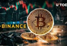 خروج 185 مليون دولار من البيتكوين من بينانس في دقائق.. من المشتري؟