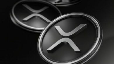 صناديق XRP المتداولة في البورصة تقترب من مليار دولار تحت الإدارة وسط طلب مؤسسي مستمر