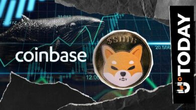 حوت شيبا إينو على كوينبيز يكسر صمته السنوي بنقل 53,591,805,991 عملة SHIB