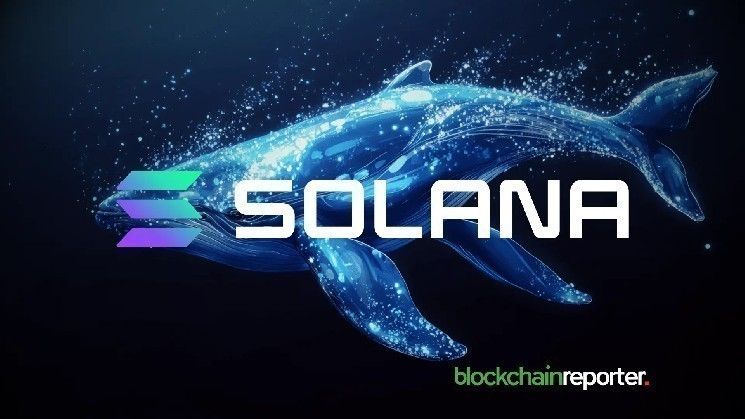 حوت العملات الرقمية يشتري الهبوط مجدداً ويضخ 5 ملايين دولار في عملة سولانا ($SOL)