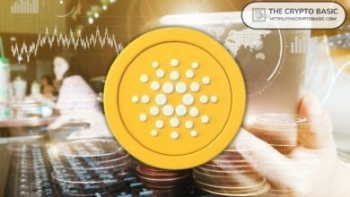 خبير يرفض تسمية كاردانو بـ"المال الميت" ويوضح سبب كون ADA فرصة لا تتكرر