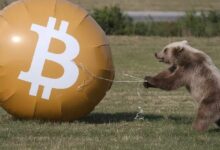 خبير مخضرم: السوق الهابطة للعملات الرقمية قد تكون وصلت إلى القاع وبدأت في التعافي