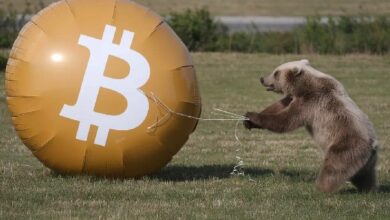 خبير مخضرم: السوق الهابطة للعملات الرقمية قد تكون وصلت إلى القاع وبدأت في التعافي